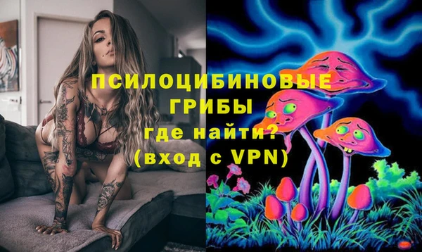 эйфоретик Арсеньев